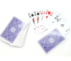 Tout Pour le Jeu 54 cartes internationales 100 % plastique Lonfield dans boite plastique