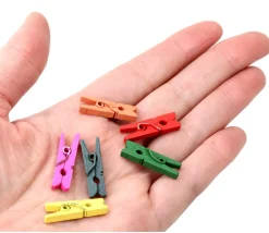 Tout Pour le Jeu 24 Mini pinces à linge en bois coloré - 25 mm