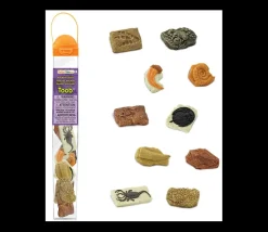 Tout Pour le Jeu Anciens fossiles 4/5 cm - paléontologie 10 pièces