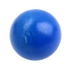 Tout Pour le Jeu Boule 2.5 cm couleur bleue en bois - bille hêtre diamètre 25 mm