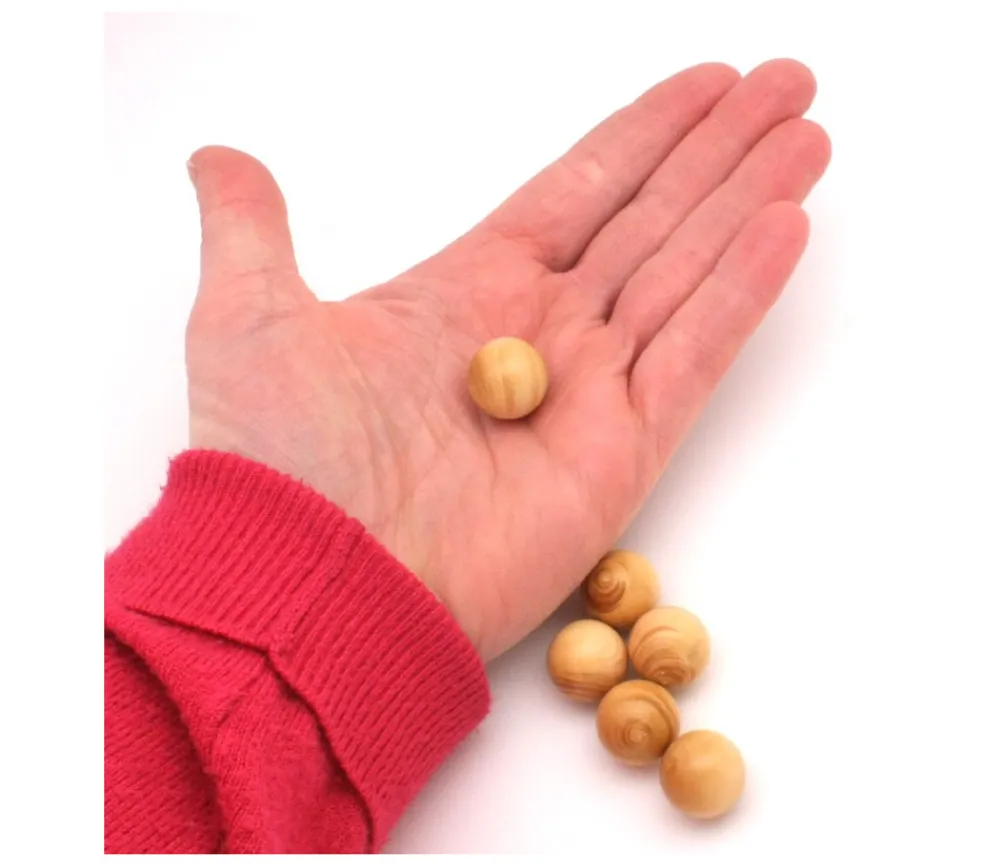 Tout Pour le Jeu Boule 1.6 cm en bois - bille buis diamètre 16 mm