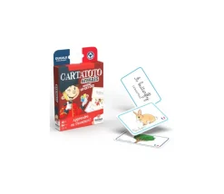Tout Pour le Jeu Cartatoto Anglais apprendre en s'amusant 110 cartes CP CE1 CE2