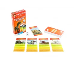 Tout Pour le Jeu Cartatoto Les Dinosaures récréaction - jeu