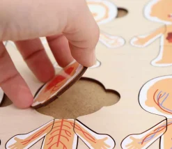 Tout Pour le Jeu Corps humain découverte : 6 mini puzzles bois