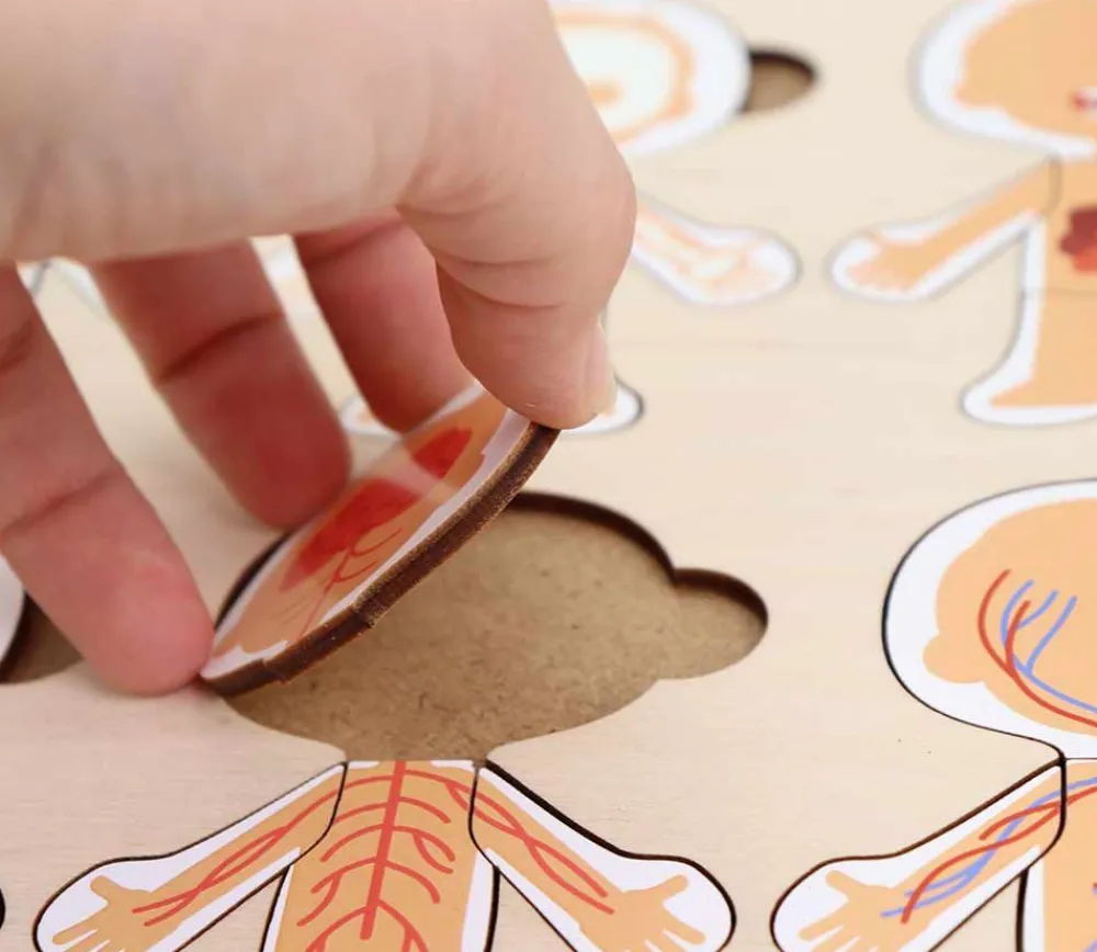 Tout Pour le Jeu Corps humain découverte : 6 mini puzzles bois