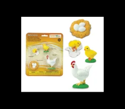 Tout Pour le Jeu Cycle de la vie de l'oeuf à la poule