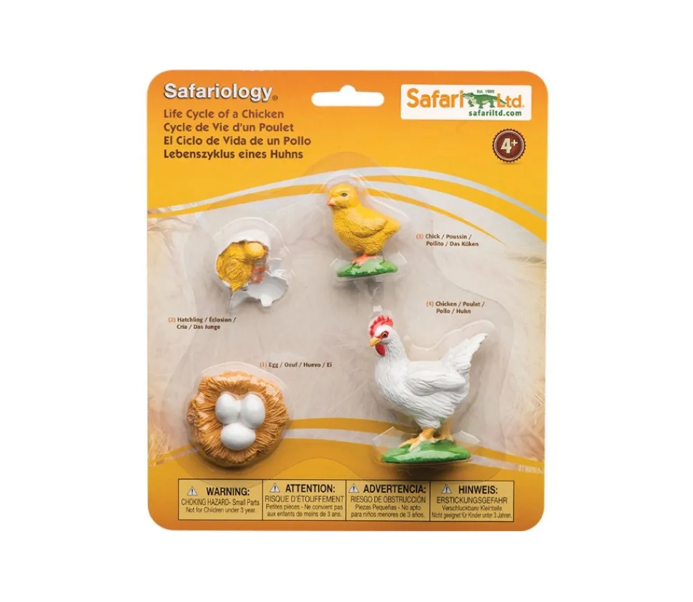 Tout Pour le Jeu Cycle de la vie de l'oeuf à la poule