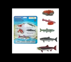 Tout Pour le Jeu Cycle de la vie d'un saumon