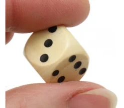Tout Pour le Jeu Dé bois 16 mm en buis de 1 à 6 pour jeu de société