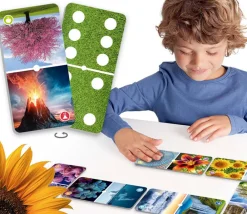 Tout Pour le Jeu Domino merveilles de la nature