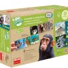 Tout Pour le Jeu Domino nature : animaux en extinction