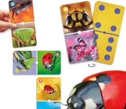Tout Pour le Jeu Domino nature : insectes