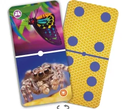 Tout Pour le Jeu Domino nature : insectes