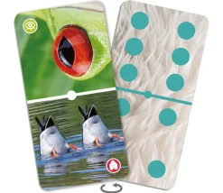 Tout Pour le Jeu Domino nature : Zoom sur les animaux