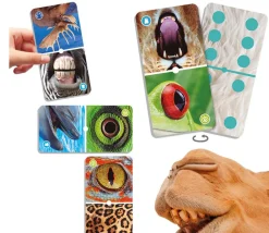 Tout Pour le Jeu Domino nature : Zoom sur les animaux