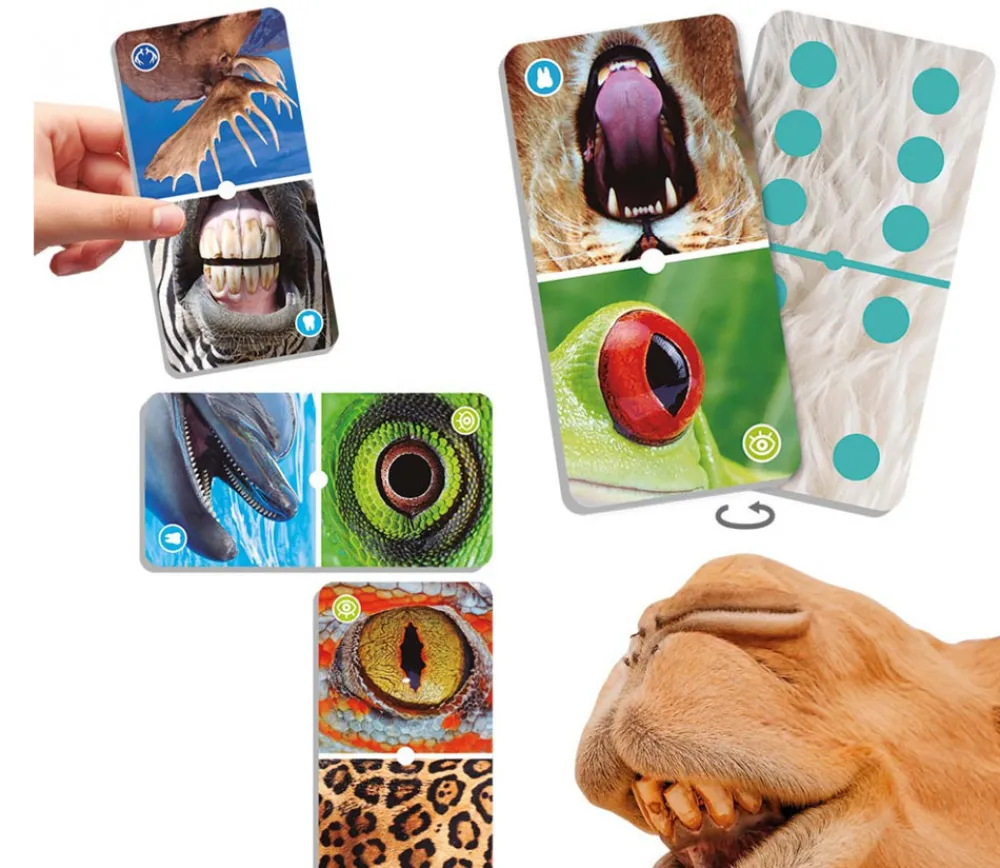 Tout Pour le Jeu Domino nature : Zoom sur les animaux