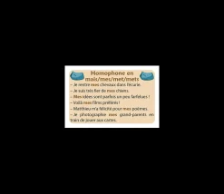 Tout Pour le Jeu Jeu Ortho Cat's 2 homophones grammaticaux orthographe CE1-collège