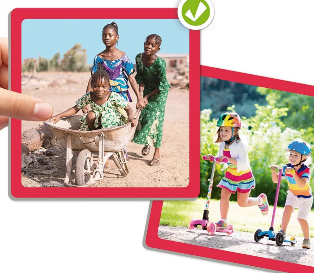 Tout Pour le Jeu Maxi mémo diversité et mode de vie