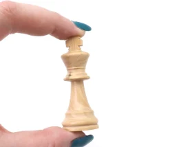 Tout Pour le Jeu Mini coffret Dames et échecs jeu recto-verso 21 x 21 cm français