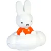 Tout Pour le Jeu Nuage de pluie Miffie jeux d'eau, jouet de bain