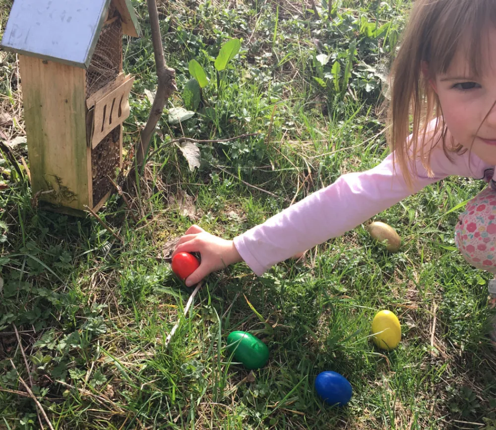 Tout Pour le Jeu Oeuf en bois coloré de 6 cm à l'unité