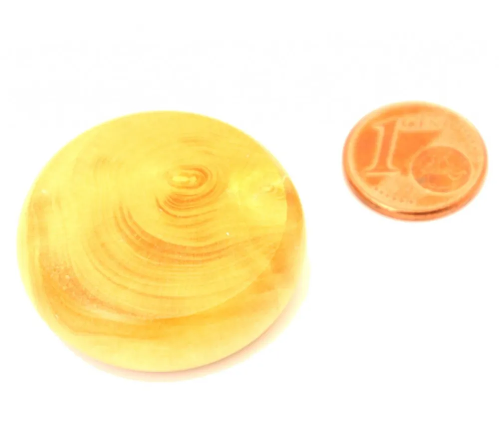 Tout Pour le Jeu Palet crokinole 32 mm pion buis naturel à l'unité