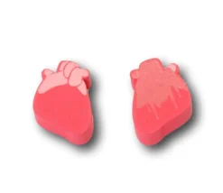 Tout Pour le Jeu Pion Coeur humain bonne santé et malade en bois