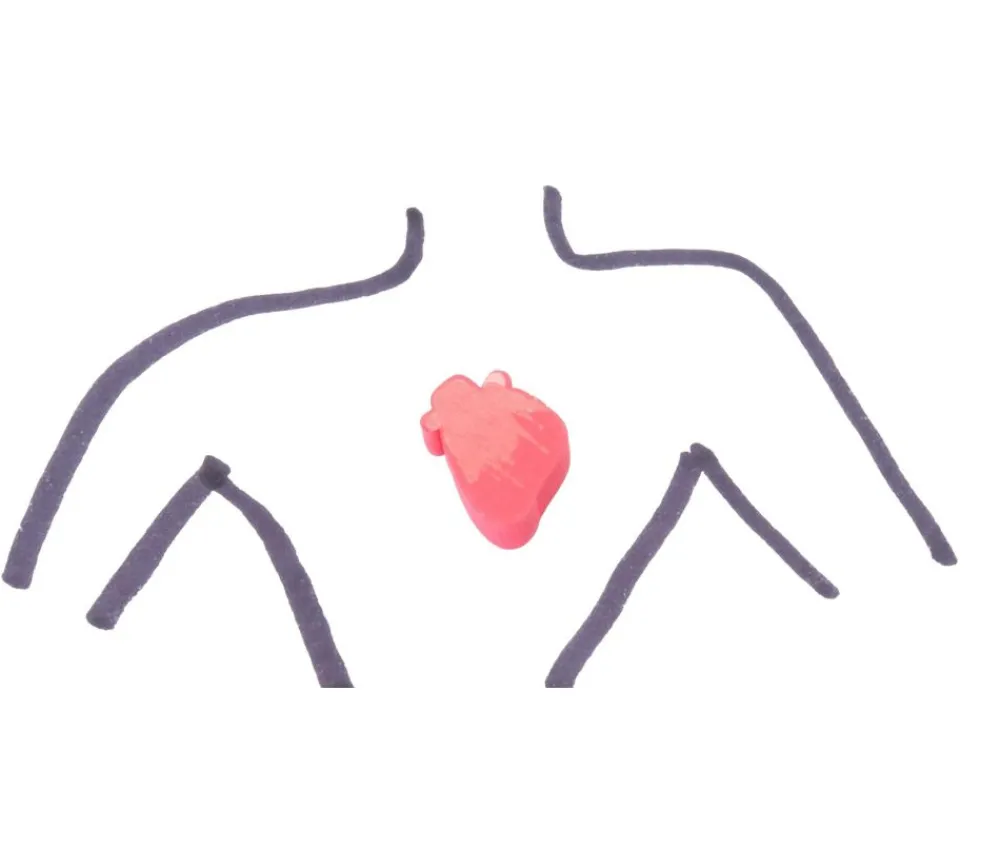 Tout Pour le Jeu Pion Coeur humain bonne santé et malade en bois