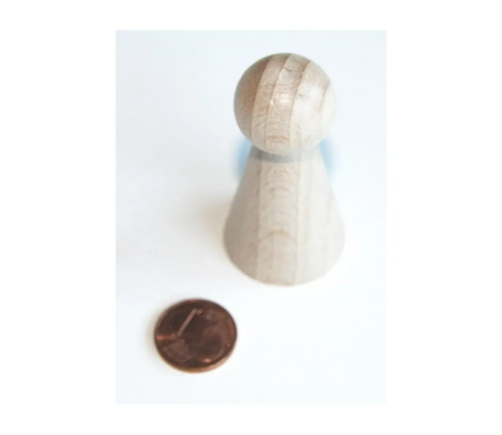 Tout Pour le Jeu Pions bois big 52 x 25 mm à l'unité