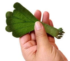 Tout Pour le Jeu Poireau en feutrine 13 x 6.3 x 0.5 cm légume jouet