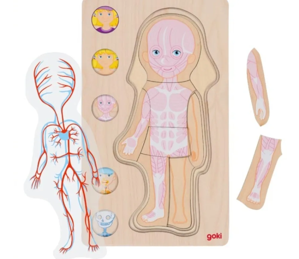 Tout Pour le Jeu Puzzle corps Humain fille - 5 puzzles bois à étage anatomie