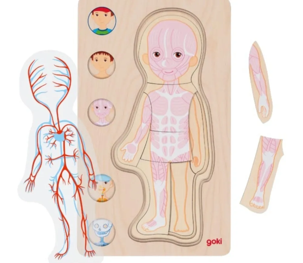 Tout Pour le Jeu Puzzle corps Humain garçon - 5 puzzles bois à étage anatomie