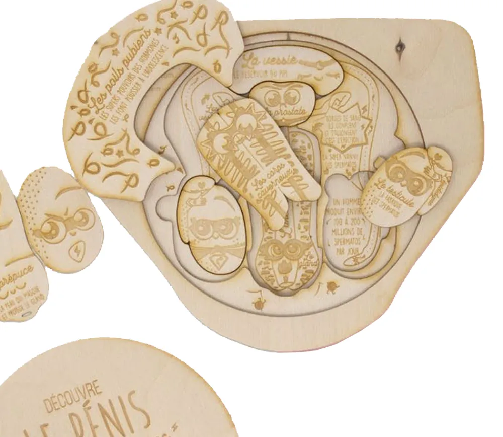 Tout Pour le Jeu Puzzle 3D éducatif en bois : le pénis