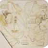 Tout Pour le Jeu Puzzle éducatif en bois - Les feuilles, bogues et fruits