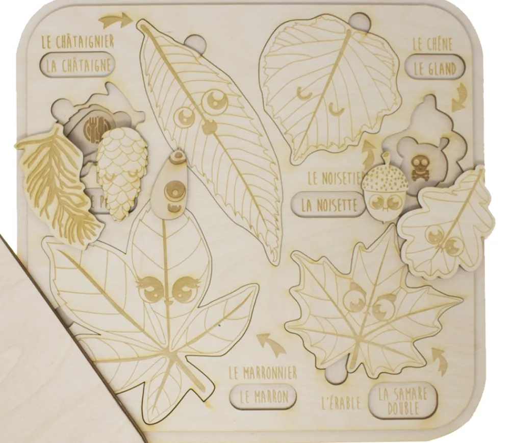 Tout Pour le Jeu Puzzle éducatif en bois - Les feuilles, bogues et fruits