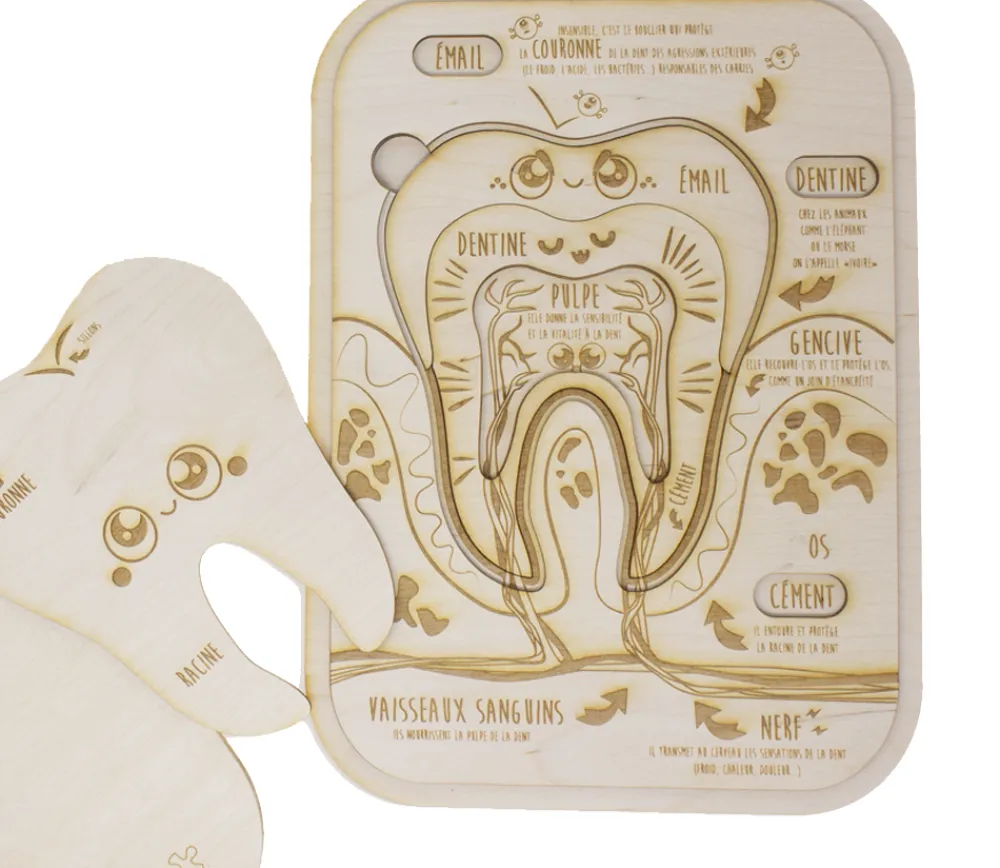 Tout Pour le Jeu Puzzle éducatif en bois - Les dents