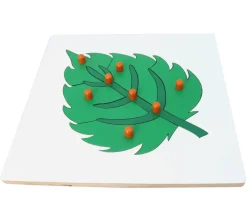 Tout Pour le Jeu Puzzle en bois feuille - 8 pièces à boutons à encastrer