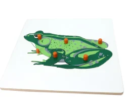 Tout Pour le Jeu Puzzle en bois grenouille - 6 pièces à boutons à encastrer