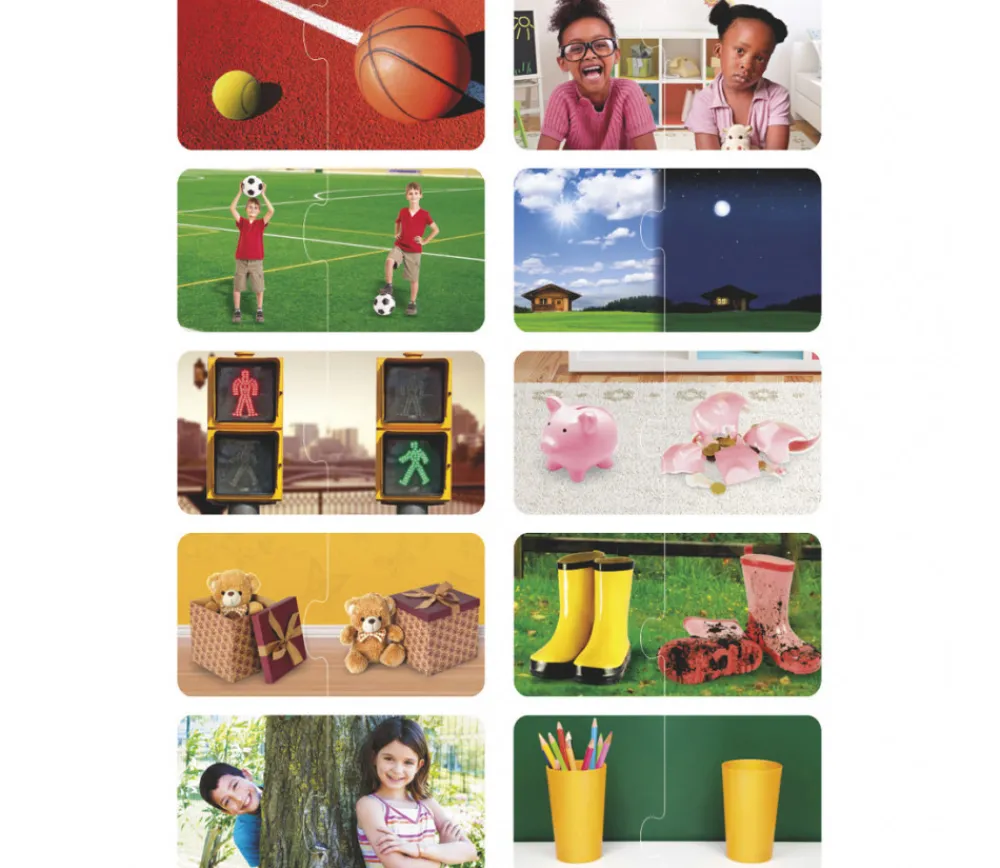 Tout Pour le Jeu Puzzle les Duos contraires plastique