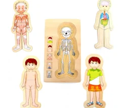 Tout Pour le Jeu Puzzles anatomie garçon - 4 puzzles à étage