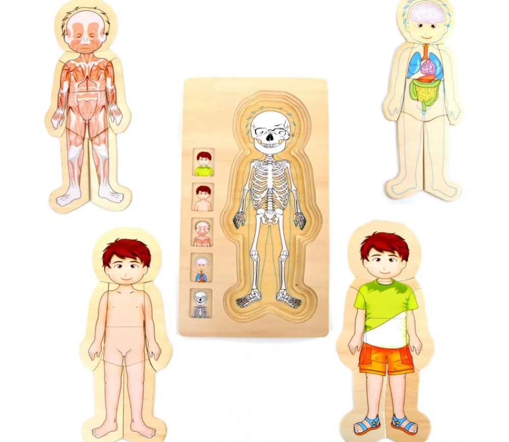 Tout Pour le Jeu Puzzles anatomie garçon - 4 puzzles à étage