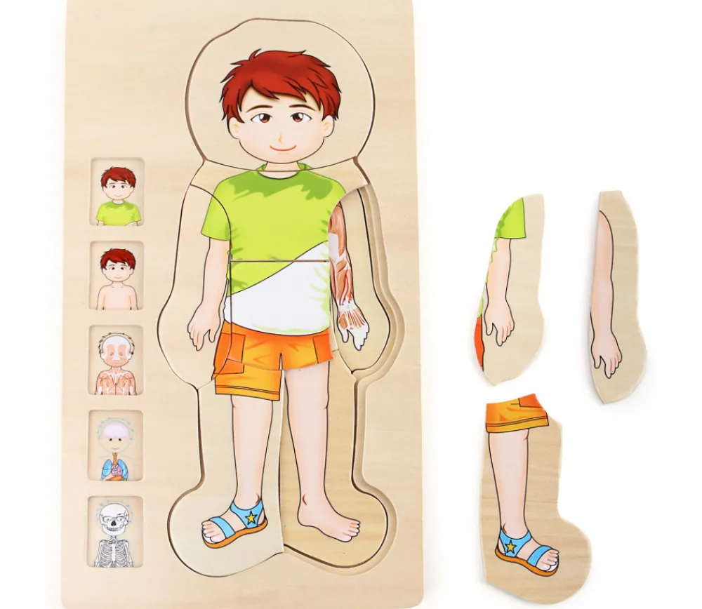 Tout Pour le Jeu Puzzles anatomie garçon - 4 puzzles à étage