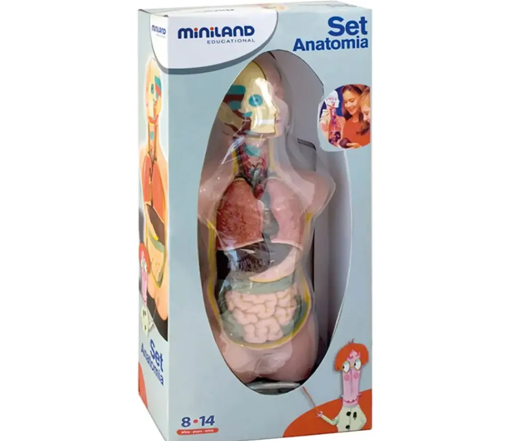 Tout Pour le Jeu Set anatomie : Découverte du corps humain 50 cm